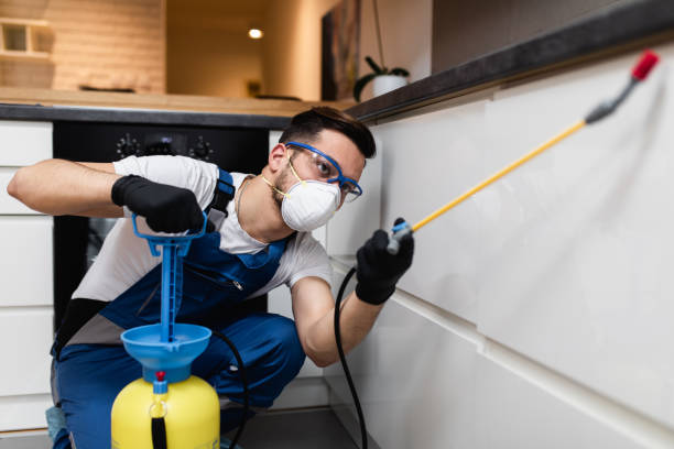 Best Cockroach Control Services  in Avimor, ID