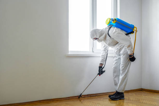 Best Mosquito Control Services  in Avimor, ID