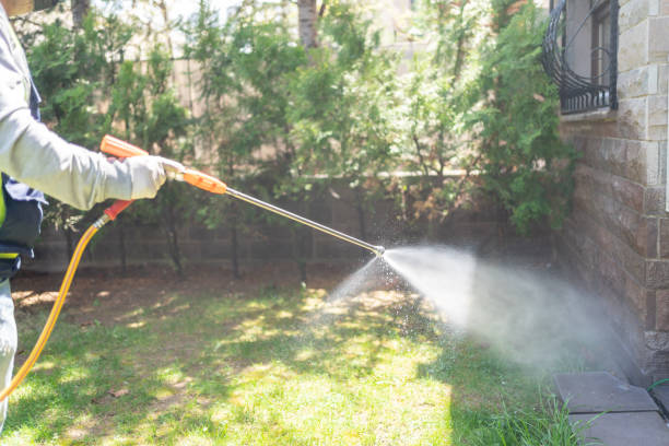 Professional Pest Control in Avimor, ID