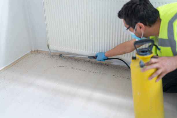 Best Bed Bug Extermination  in Avimor, ID